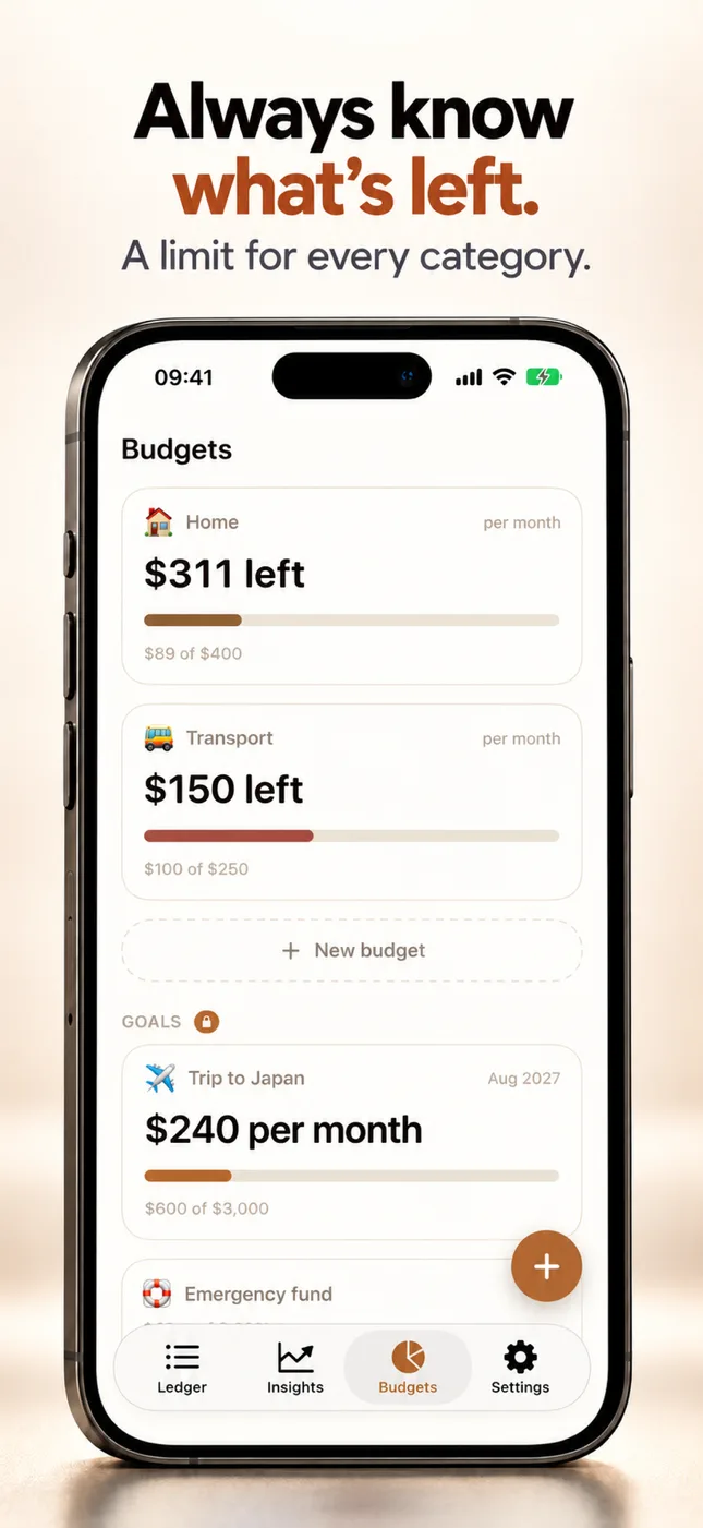 Budgets that show what's left